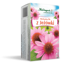 HERBATA fix z JEŻÓWKI 20*2g Herbapol Kraków